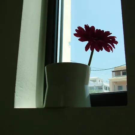 Lägenhet Sugar And Almond *